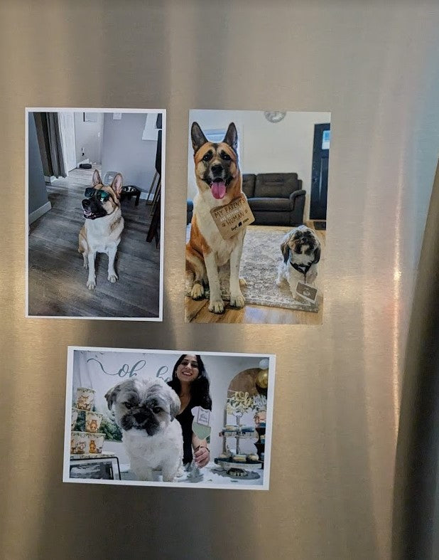 Custom Photo Magnet 4 x 6